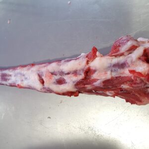 Rabo de Vaca